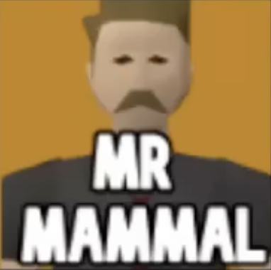 Mr Mammal